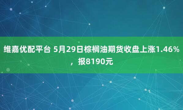 维嘉优配平台 5月29日棕榈油期货收盘上涨1.46%，报8190元