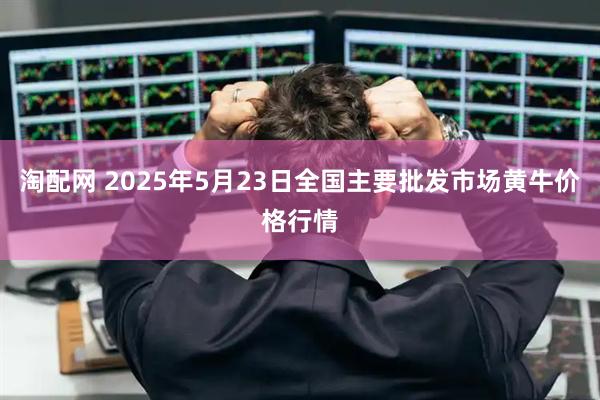 淘配网 2025年5月23日全国主要批发市场黄牛价格行情